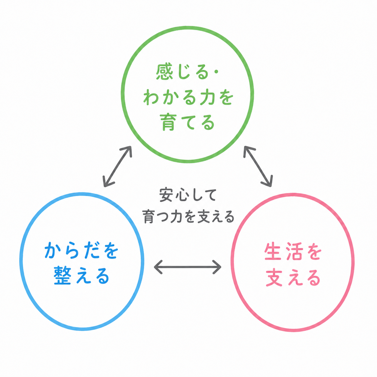 からだを整える、感じる・わかる力を育てる、生活を支えるという3つの柱の図